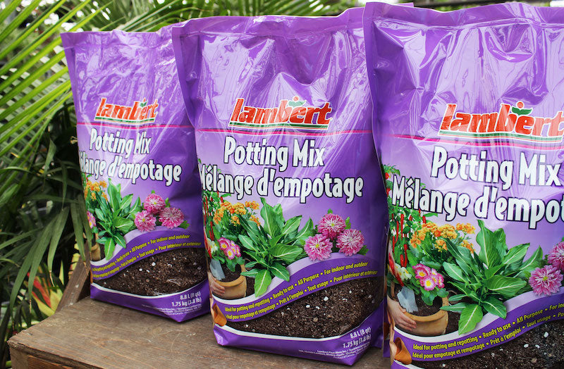 Lambert Soil & Compost  Anna's Garden, Home & Wellness
