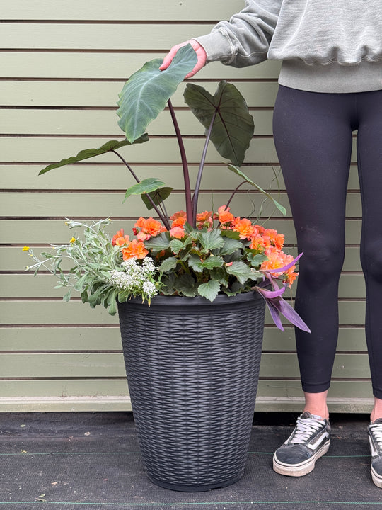 15” Wicker Round Patio Pot - Sun/Shade (Multiple Colours)