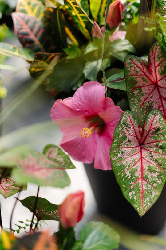 14” Adele Round Tropical Spindle Palm Mix (Multiple Colours)