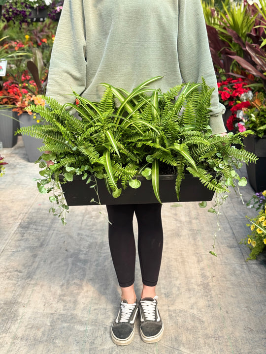 24” Greens Window Box (Full Sun/Partial Sun/Shade)