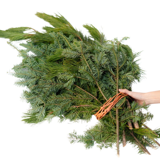 Ontario Mixed Greens Bundle