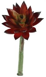 7" Succulent Pick - Red - Florals and Foliage