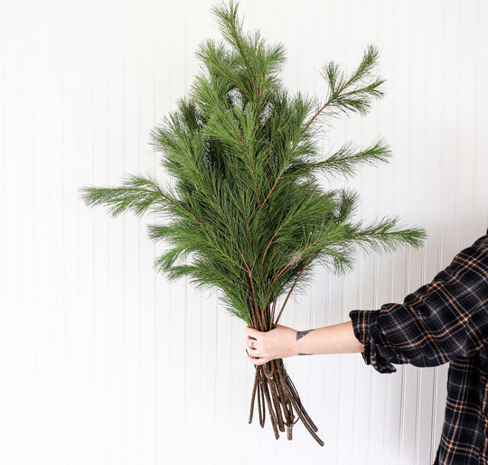 Bulk (50lb) Ontario Greens Bundle - Cedar, Fir or Pine