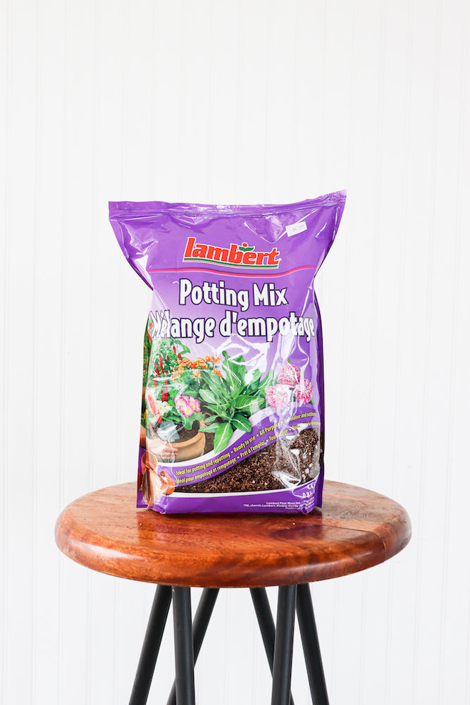 4.4L Potting Mix Soil  Anna's Garden, Home & Wellness