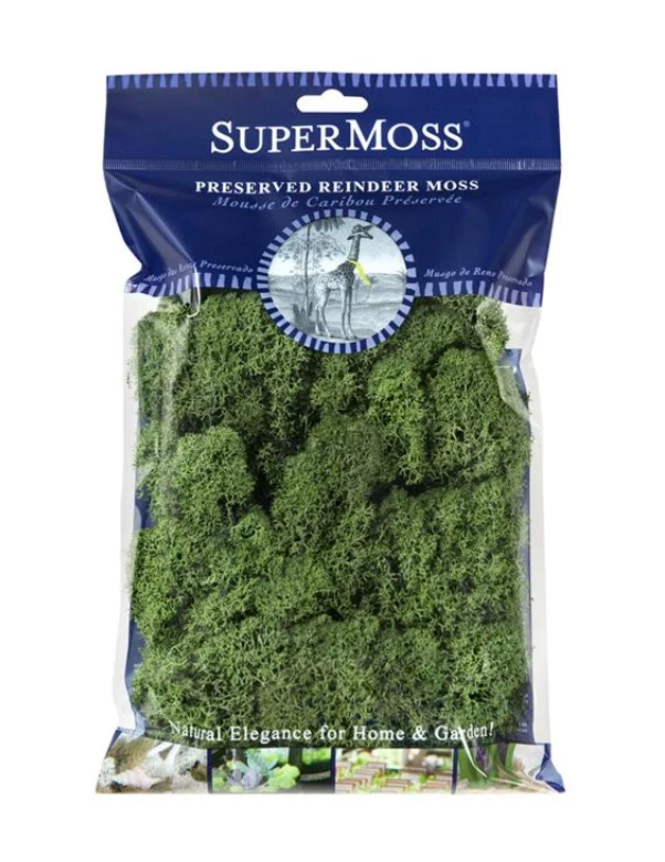 Super Moss Forest Moss Preserved Fresh Green Boxed 8 oz