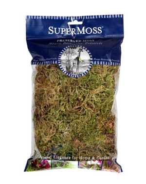 Forest Moss Dried Natural Green
