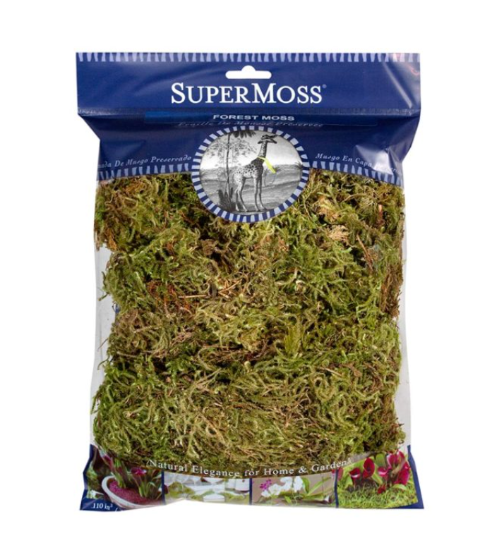 Forest Moss Dried Natural Green