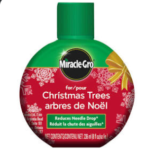 Miracle-Gro for Christmas Trees