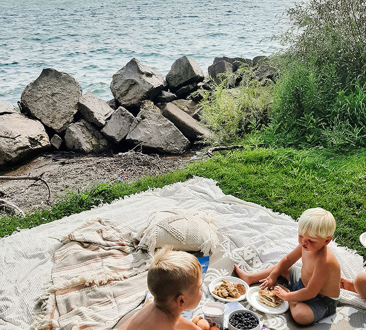 A Picnic At The Beach