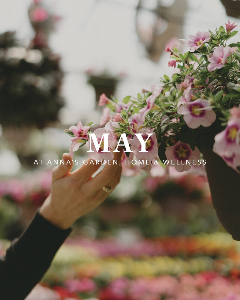 May at Anna's