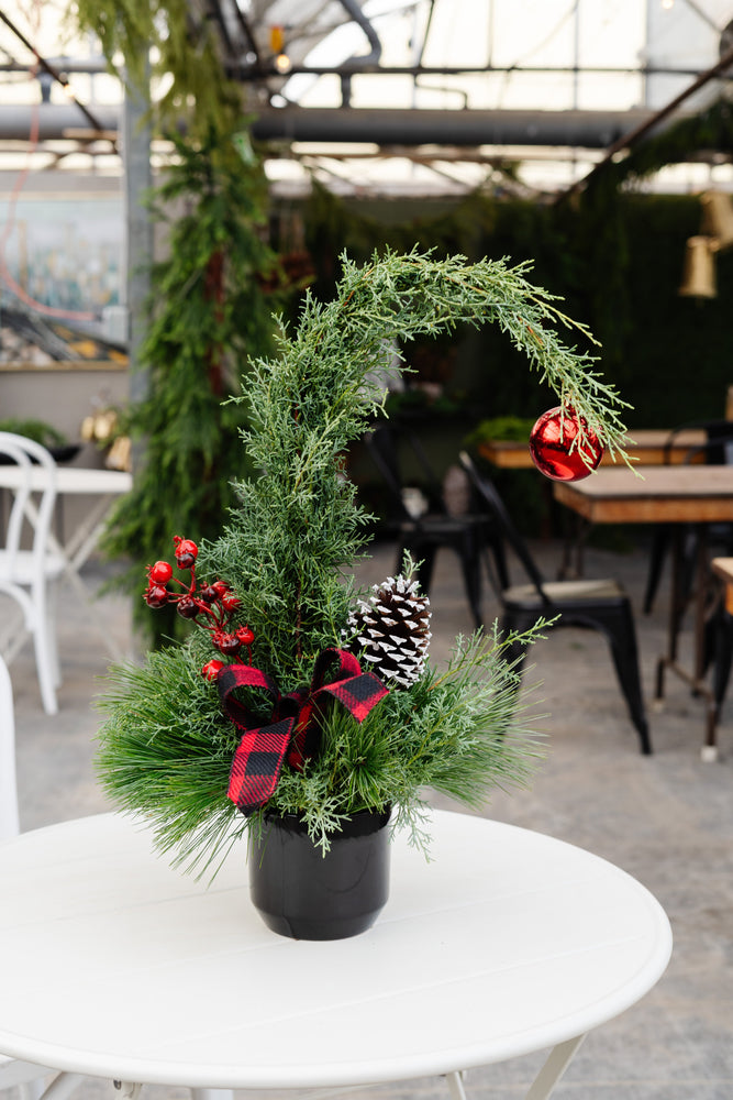 Meet the Grinch Tree: The Holiday Gift That Always Gets a Smile