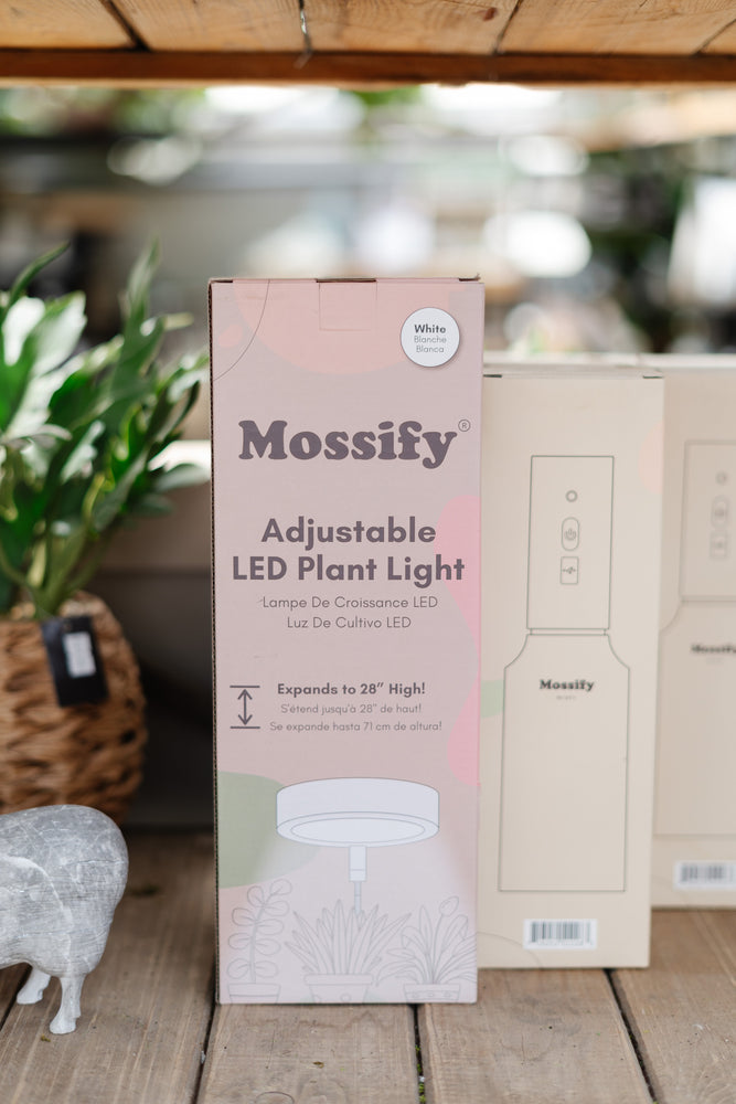 Mossify