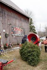 COMMUNITY HIGHLIGHTS: Coppola's Christmas Tree Farm