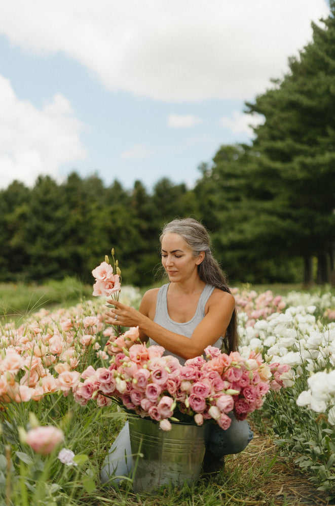 Community Highlight: Dame Haven Farms