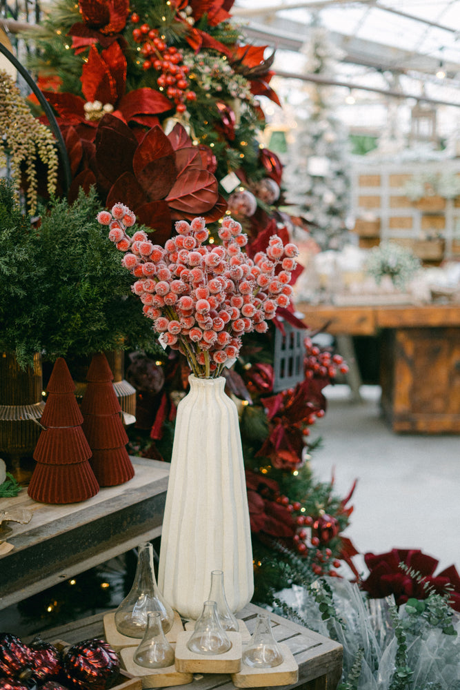 Anna's Holiday Stories Vol. 2 | Cranberry & Gold