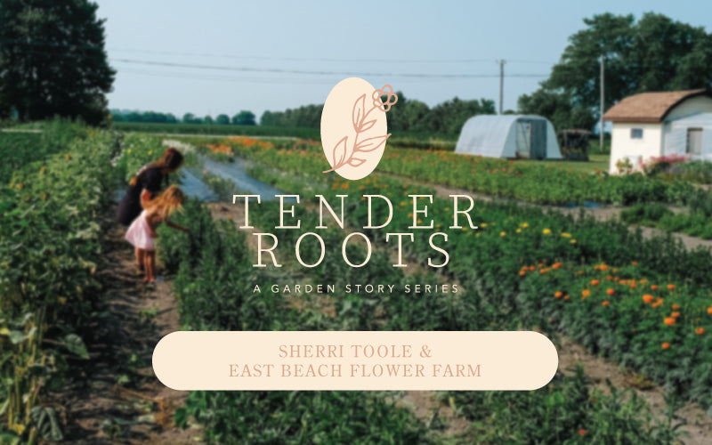 Tender Roots: East Beach Flower Farm