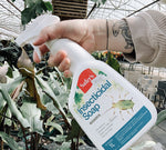 Safer’s Insecticidal Soap – Pest Control Spray