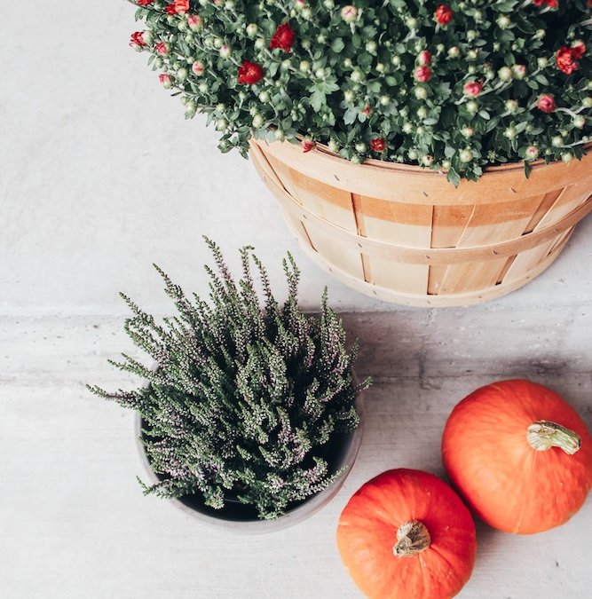 Styling Your Porch For Fall