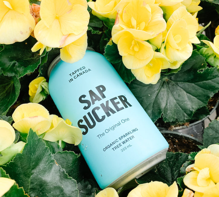 Sapsucker: Organic Tree Water
