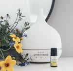 Essential Oil Of The Month: Lemon