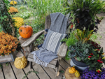 Adding Autumn Colour to Our Outdoor Spaces