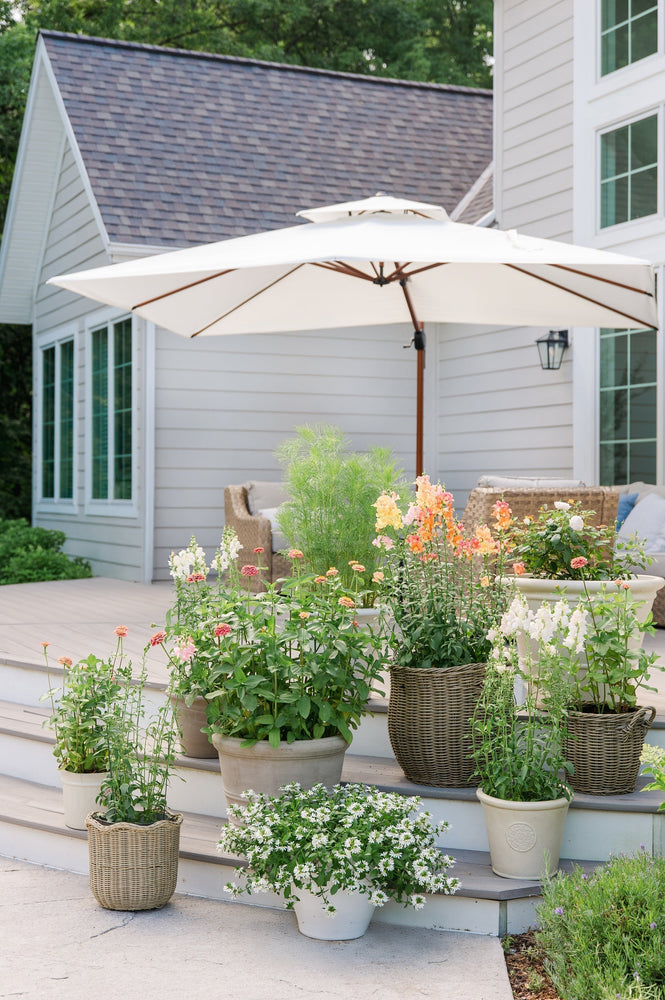 Trendspotter: Cut Flower Container Garden