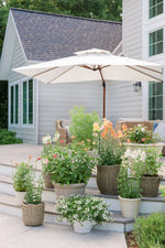 Trendspotter: Cut Flower Container Garden