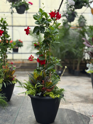 18" Round Mandevilla Mix