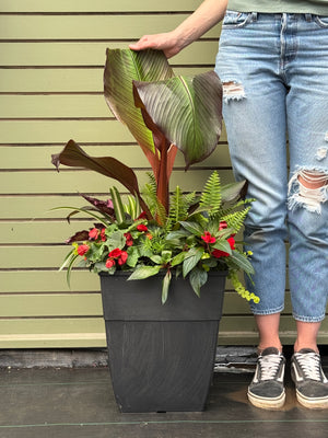 14" Square Hendrix Patio Pot: Partial Sun/Shade (Multi-Colours)