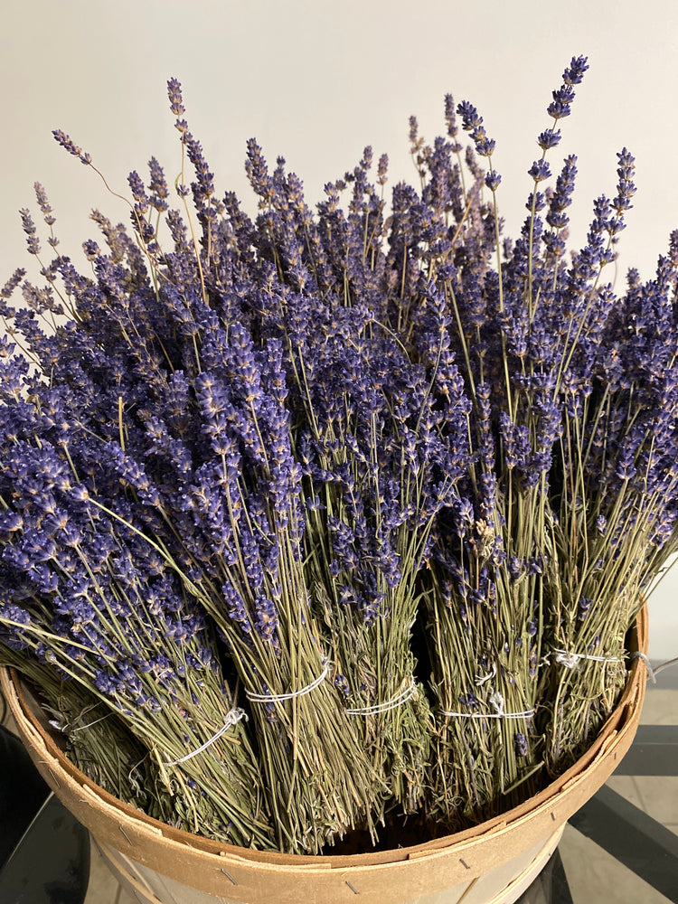 Dried English Lavender Bunch (Local)