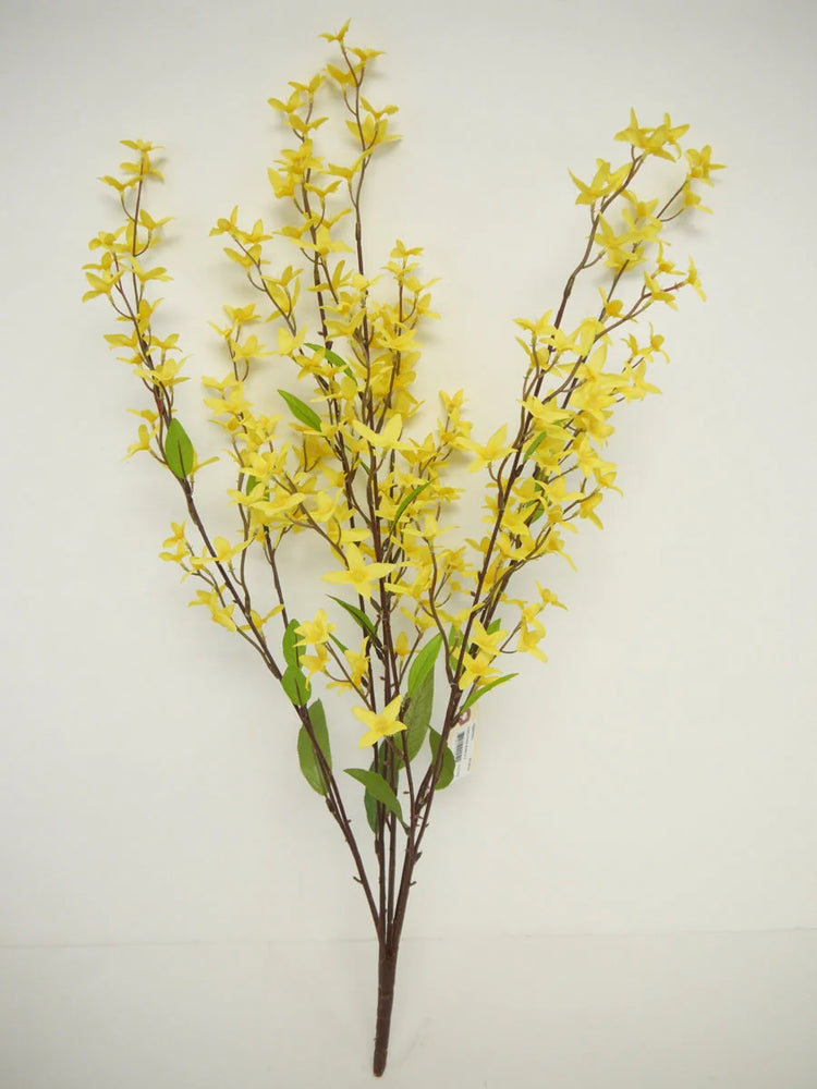 Forsythia Bush - Florals and Foliage
