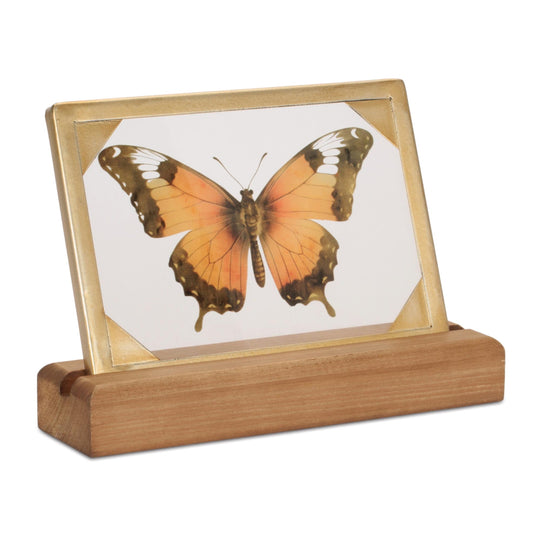 Butterfly Décor 9"L x 6.5"H Wood/Glass/Iron (Orange)