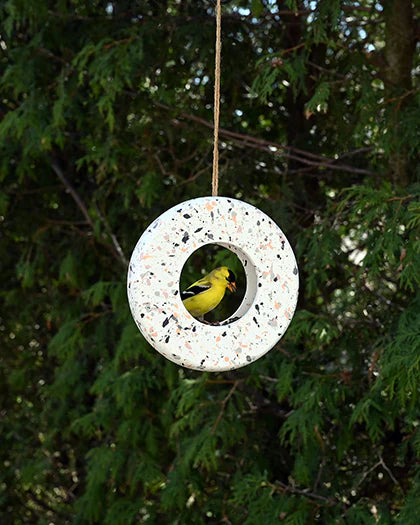 Avistry Ring Bird Feeder
