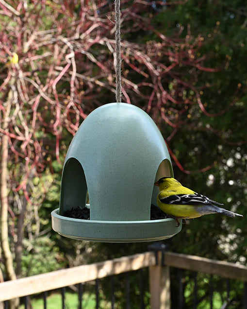 Eco Dome Bird Feeder - Green