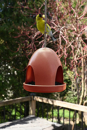 Eco Dome Bird Feeder - Terra
