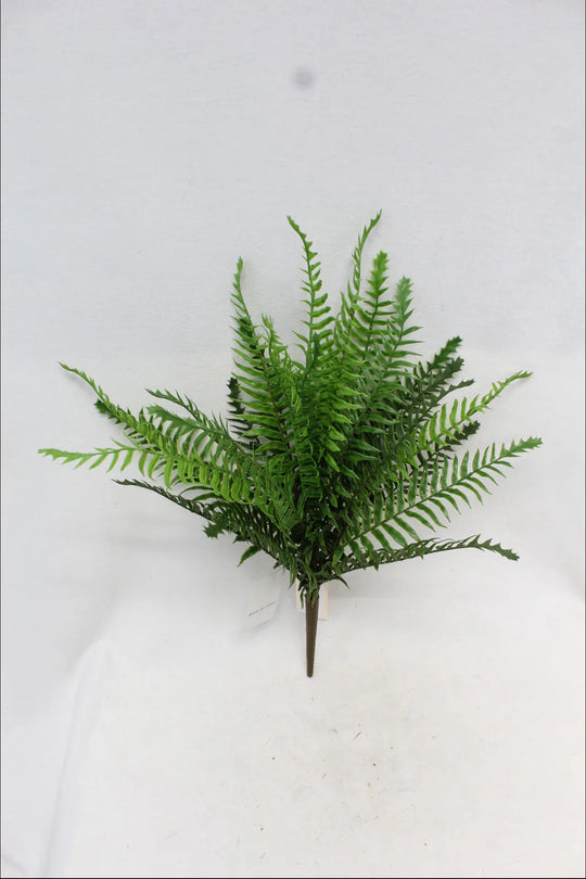 19" Sword Fern Bush