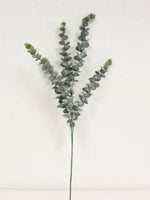 30" Eucalyptus Spray - Florals and Foliage
