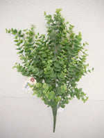 Eucalyptus Bush - Florals and Foliage