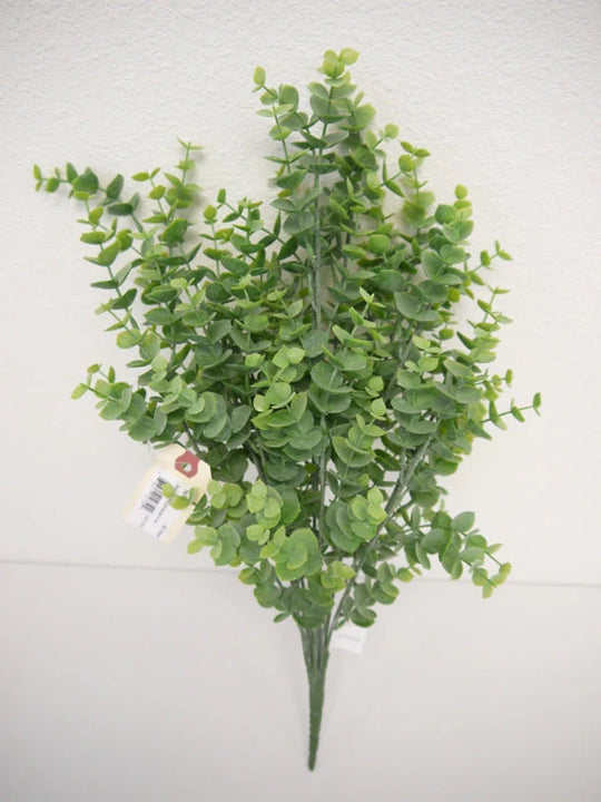 Eucalyptus Bush - Green