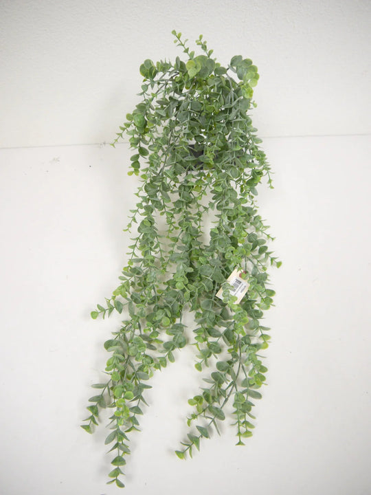 32" Eucalyptus Hanging Bush - Florals and Foliage