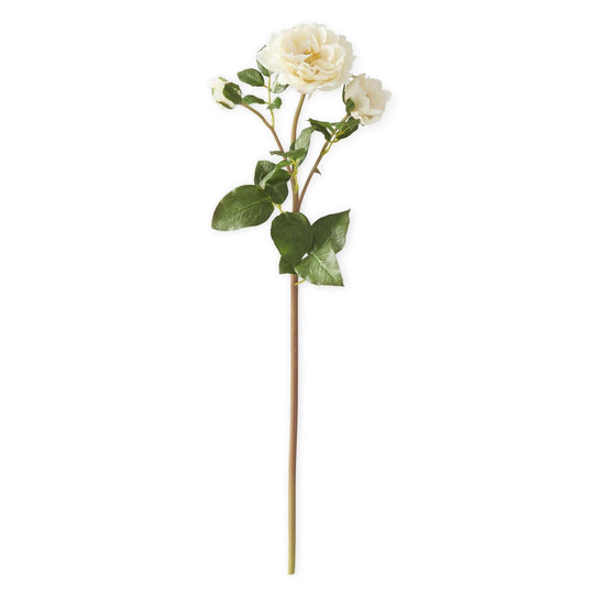 20" Cream Real Touch Drums Rose Spray