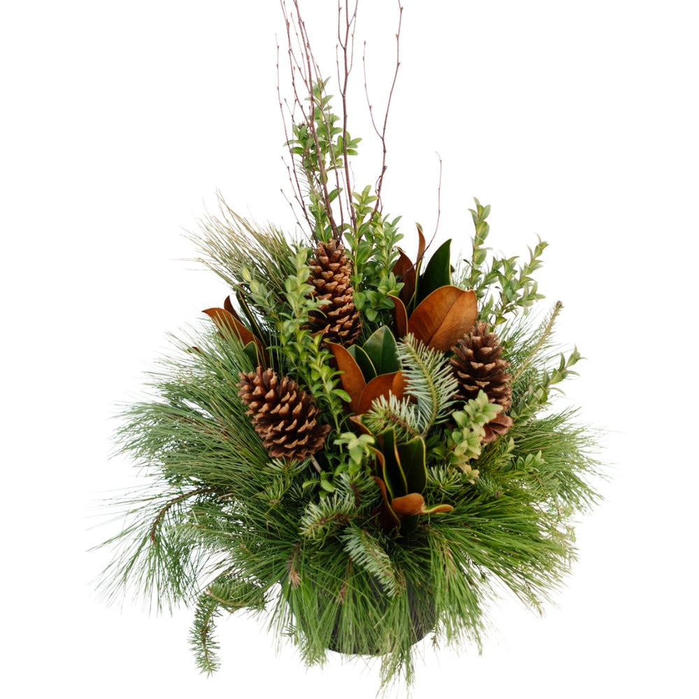 10" Round Natural Premium Winter Planter - Windsor Symphony Orchestra