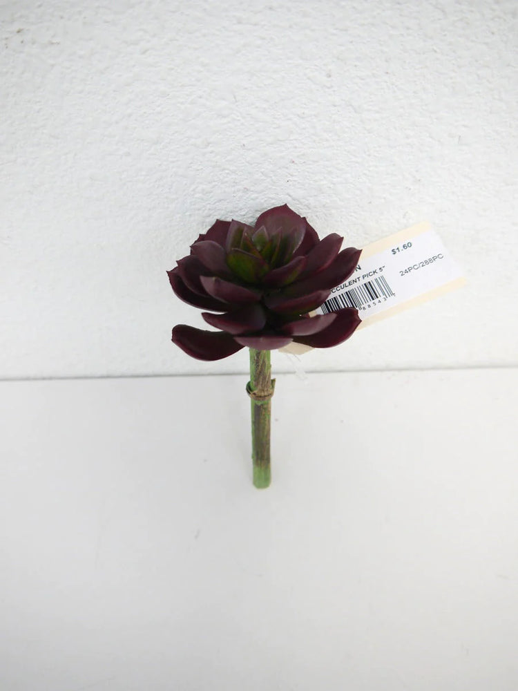 5" Succulent Pick - Wine - Florals and Foliage