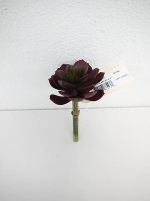 5" Succulent Pick - Wine - Florals and Foliage