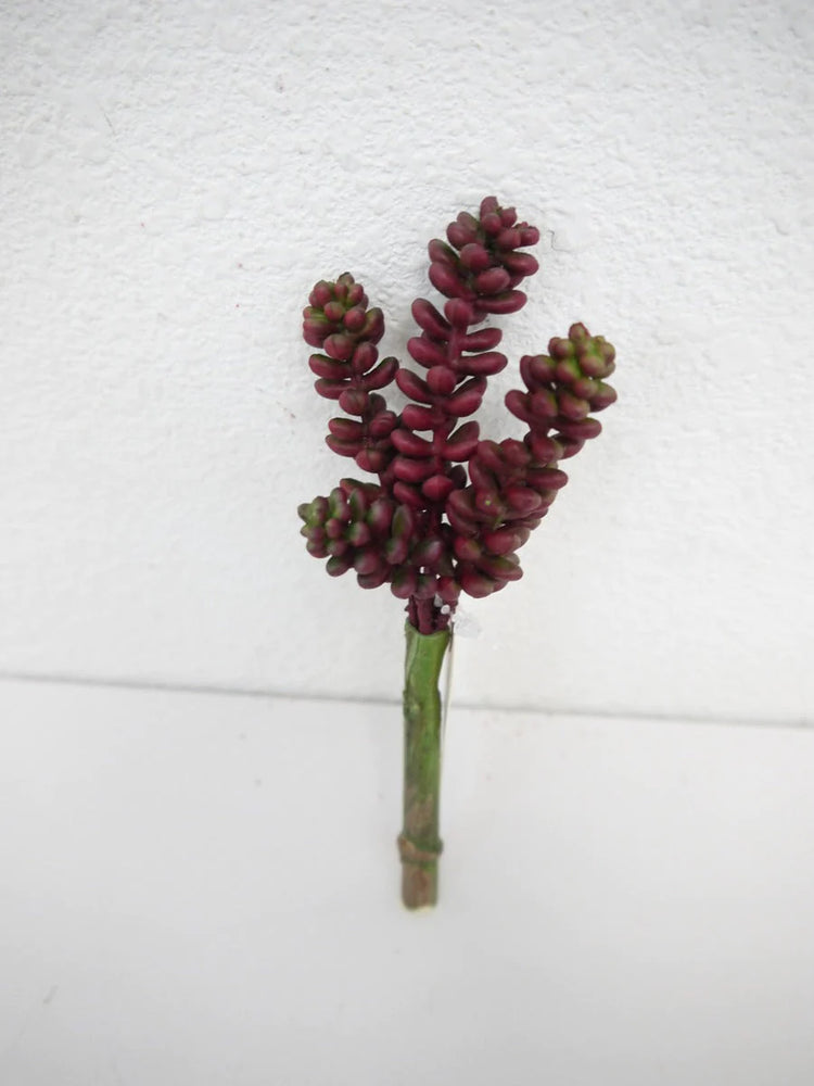 6" Succulent Pick (WINE) - Florals and Foliage