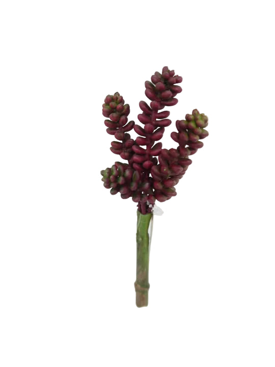 6" Succulent Pick (WINE)