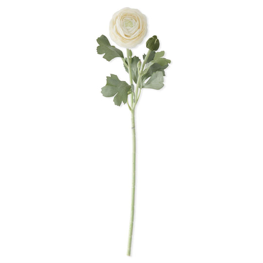 19.5" Real Touch Cream Bud & Bloom Ranunculus Stem
