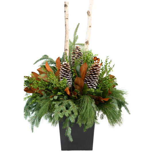 14" Square Natural Premium Winter Planter - Windsor Symphony Orchestra