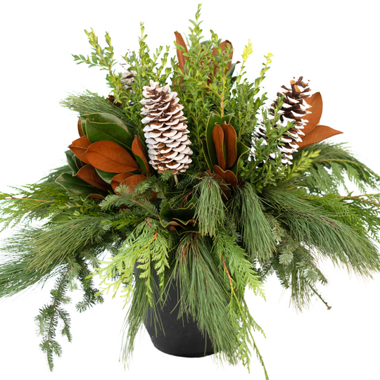 14" Round Natural Premium Winter Planter - Epilepsy Southwestern Ontario (ESWO)