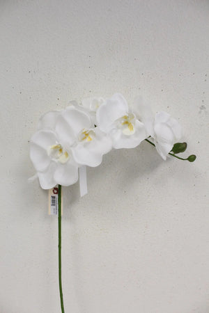 42.5" Real Touch Phalaenopsis (White) - Florals and Foliage